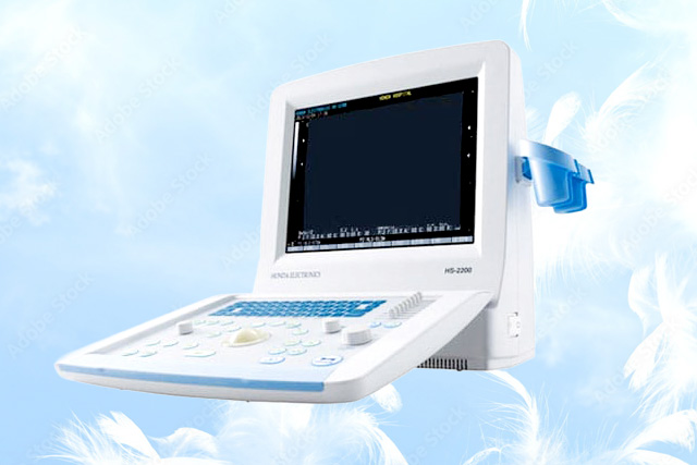 超音波画像診断装置（エコー画像）